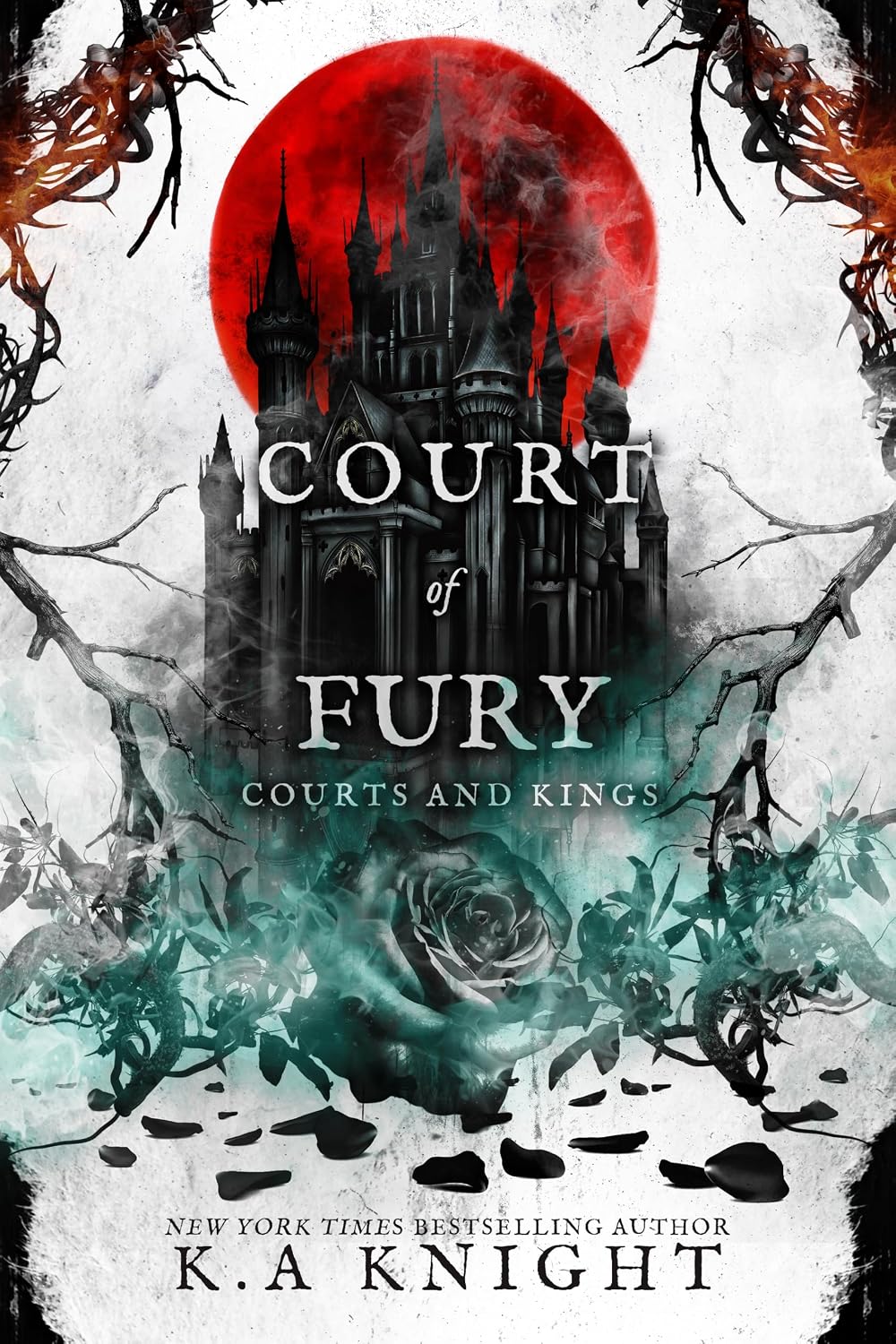 Court of Fury cover